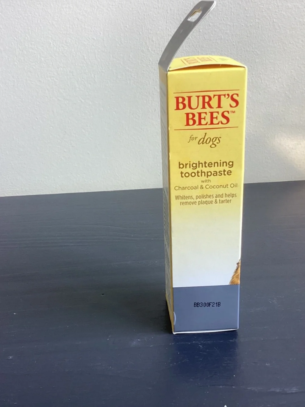 New In Box Burt’s Bees Brightening Toothpaste Charcoal & Coconut Oil 2.5oz Mint